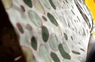 Młoda aktorka pokazała na kamery cipki sex filmy erotyczne za darmo przez dziurę w majtkach