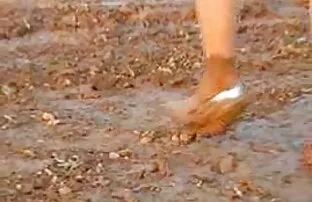 Seks to filmy porno ze zwierzętami za darmo sztuka.